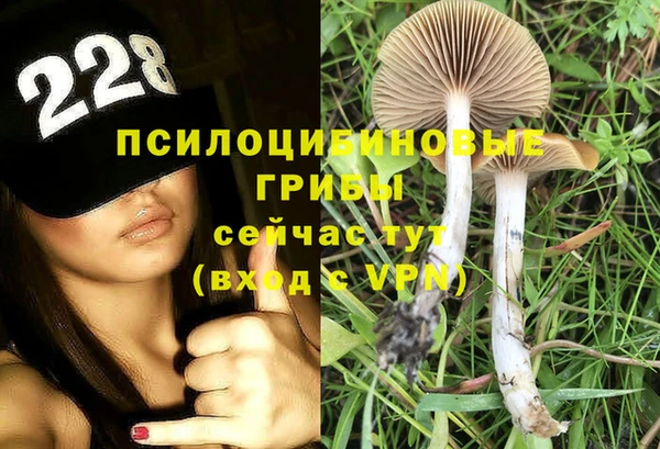 дживик Богданович