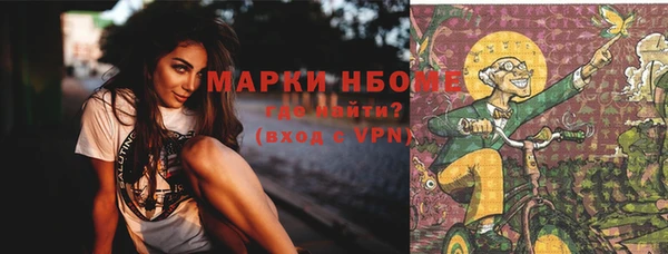 амф Бородино
