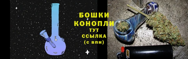 дживик Богданович