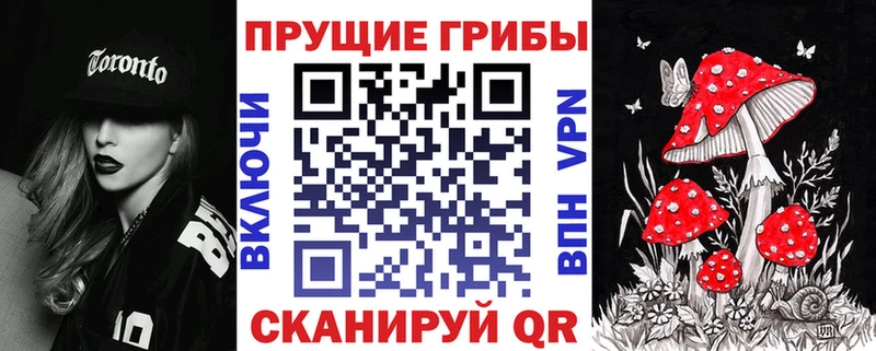 Галлюциногенные грибы мицелий  хочу   Пионерский 