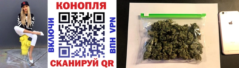 MEGA ССЫЛКА купить Пионерский Каннабис тримм